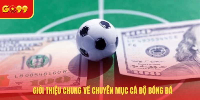 Cá Độ Bóng Đá - Cập Nhật Những Kèo Cược Hot Nhất 2026 - FEXIN