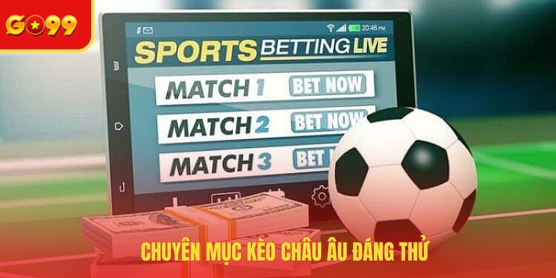 Cá Độ Bóng Đá - Cập Nhật Những Kèo Cược Hot Nhất 2026 - FEXIN