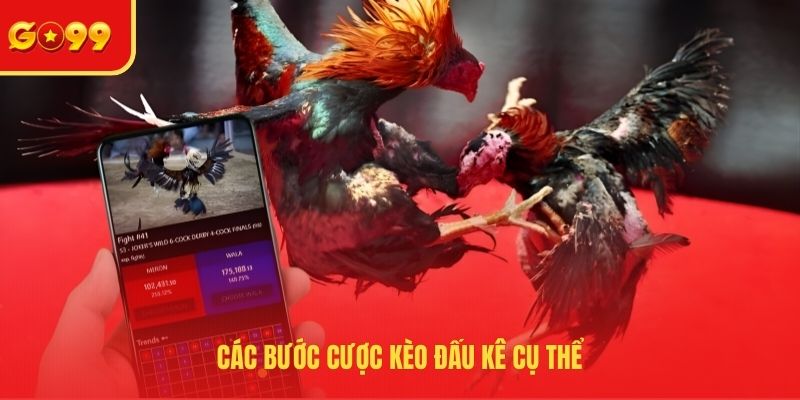 Cách Đặt Kèo Đá Gà Trực Tuyến - Thao Tác Cơ Bản Tại GO99 - FEXIN