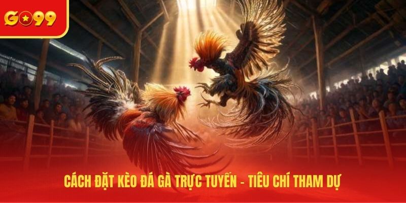 Cách Đặt Kèo Đá Gà Trực Tuyến - Thao Tác Cơ Bản Tại GO99 - FEXIN