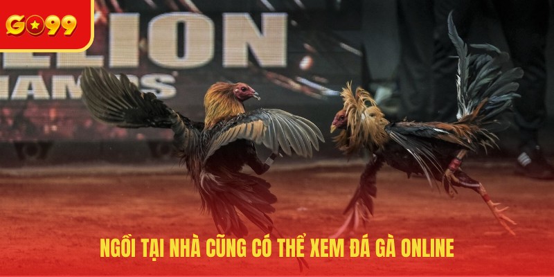 Đá Gà GO99 - Cuồng Nhiệt Tại Đấu Trường Sôi Động Nhất Hành Tinh - FEXIN
