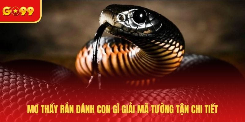 Mơ Thấy Rắn Đánh Con Gì? Đầu Tư Chuẩn, Kiếm Tiền Dễ Dàng - FEXIN
