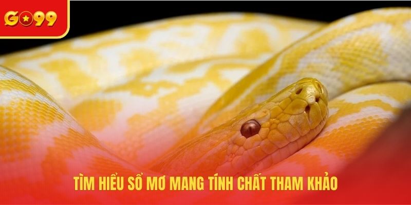 Mơ Thấy Rắn Đánh Con Gì? Đầu Tư Chuẩn, Kiếm Tiền Dễ Dàng - FEXIN