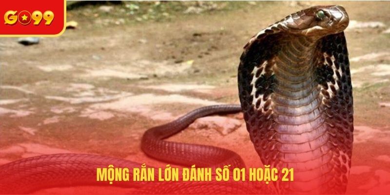Mơ Thấy Rắn Đánh Con Gì? Đầu Tư Chuẩn, Kiếm Tiền Dễ Dàng - FEXIN