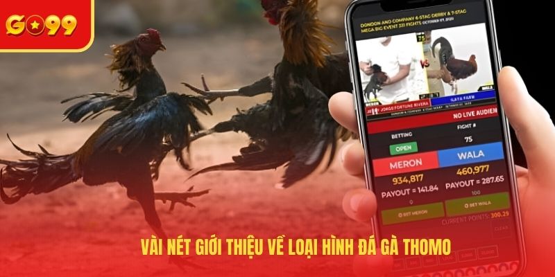 Đá Gà Thomo Hôm Nay Và Kênh Xem Các Cuộc Chiến Máu Lửa - FEXIN