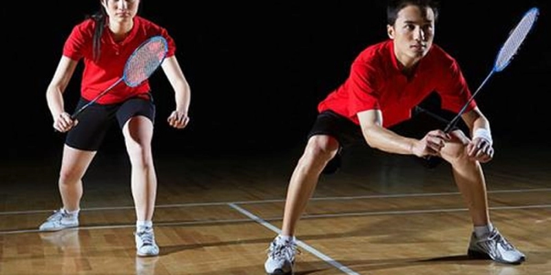 Lông Ngỗng: Ứng Dụng Và Bí Quyết Chọn Chuẩn - FEXIN