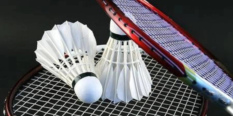 Cách Kiểm Tra Chất Lượng Quả Cầu Lông: Cập Nhật Chuẩn Quốc Tế Mới Nhất 2026 - FEXIN