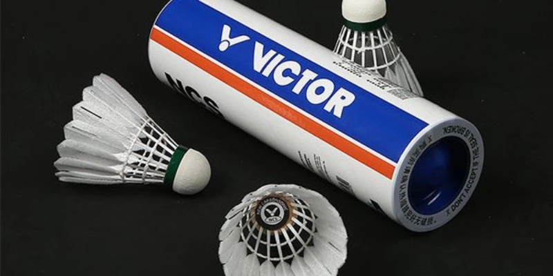 Hãng Vợt Lining: Đánh Giá Chi Tiết & Top Dòng Vợt 2026 - FEXIN