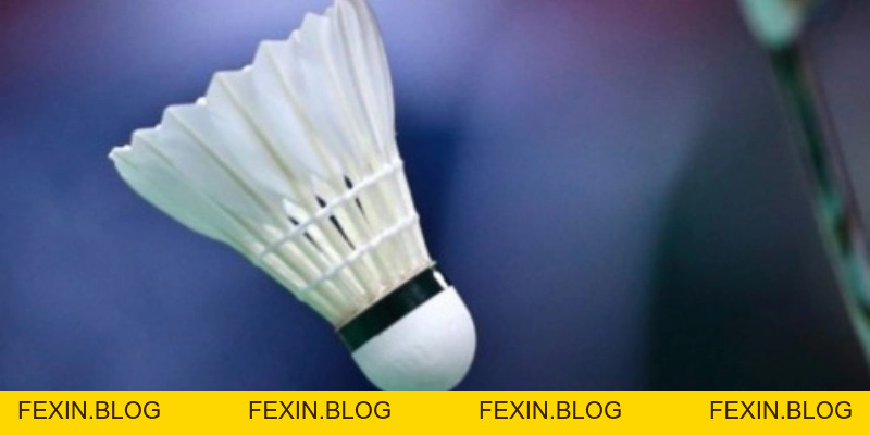 Quả Cầu Lông - YiliBadminton - FEXIN