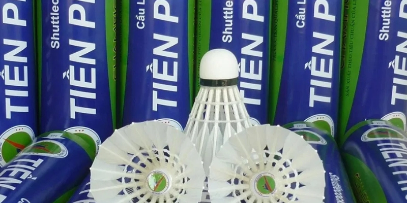 Giá Quả Cầu Lông Trên Thị Trường Hiện Nay: Cập Nhật Mới Nhất 2026 - FEXIN