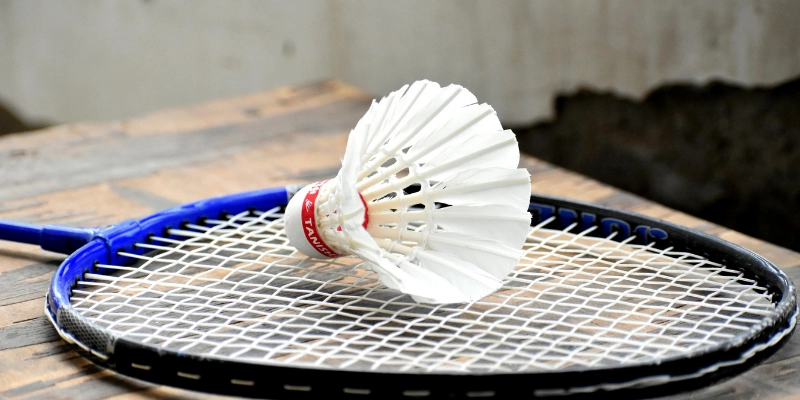 Hướng Dẫn Bảo Quản Quả Cầu Lông Trong Mùa Mưa: Tiêu Chuẩn, Kích Thước Và Cách Nhận Biết - FEXIN