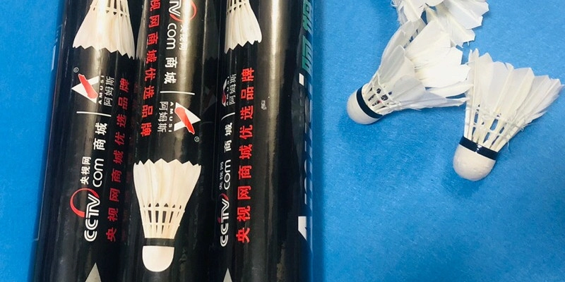 Hãng Vợt Yonex: Biểu Tượng Chất Lượng Và Đẳng Cấp - FEXIN