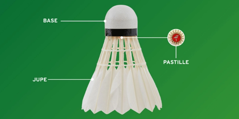 Cầu Lông ProKennex 808: Lựa Chọn Đỉnh Cao Cho Người Chơi - FEXIN
