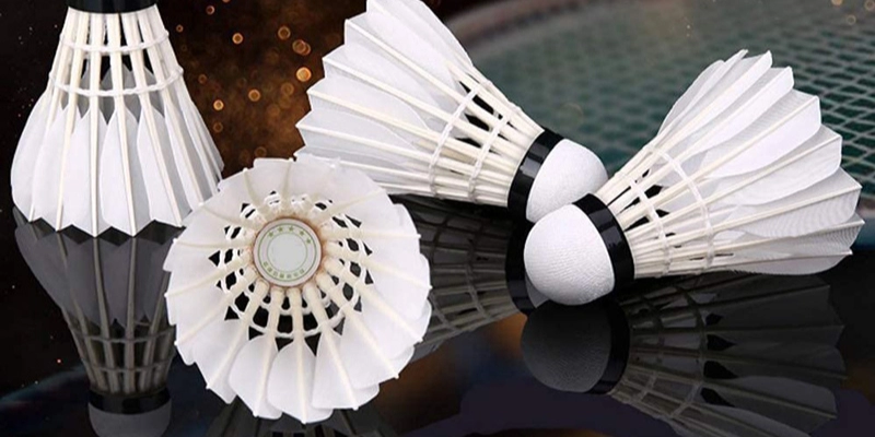 Chất Liệu Cầu Lining: Hiểu Đúng, Chọn Chuẩn - FEXIN