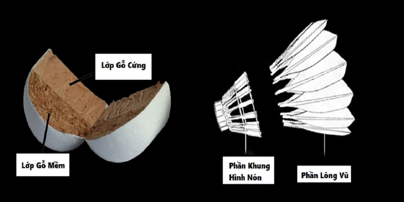 Lịch Sử Phát Triển Của Quả Cầu Lông: Hành Trình Từ Quá Khứ Đến Hiện Đại - FEXIN