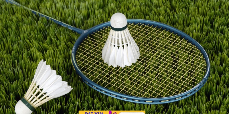 Chất Liệu Cầu Lining: Hiểu Đúng, Chọn Chuẩn - FEXIN
