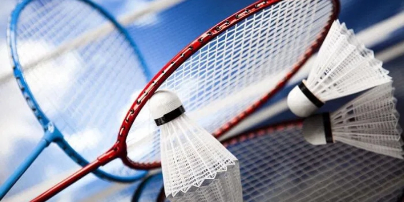 Mua Quả Cầu Lông Ở Đâu Tại TP.HCM: Danh Sách Địa Chỉ Uy Tín Nhất 2026 - FEXIN