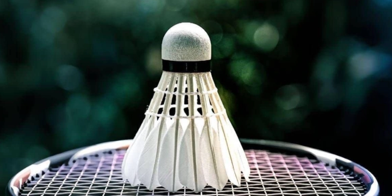 Nên Chọn Quả Cầu Lông Lông Vịt Hay Lông Ngỗng? Chuyên Gia ToniBadminton Phân Tích - FEXIN