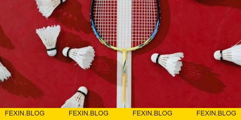 Quả Cầu Lông - YiliBadminton - FEXIN