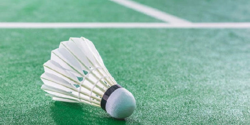 Tiêu Chuẩn BWF: Toàn Bộ Quy Định Mới Nhất Năm 2026 - FEXIN