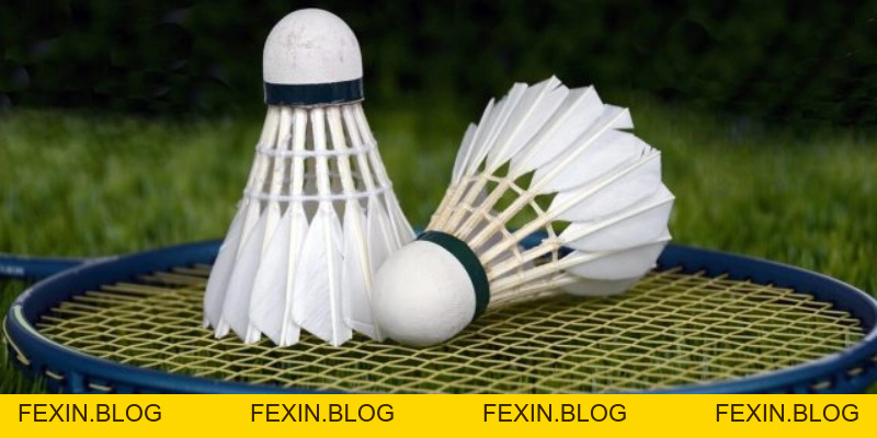 Quả Cầu Lông - YiliBadminton - FEXIN
