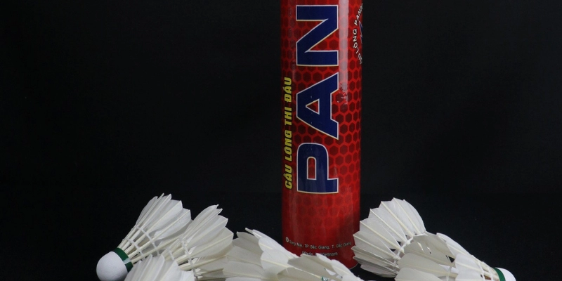 Tốc Độ Bay Cầu Lông: Ảnh Hưởng, Đo Lường Và Tối Ưu Hiệu Suất - FEXIN