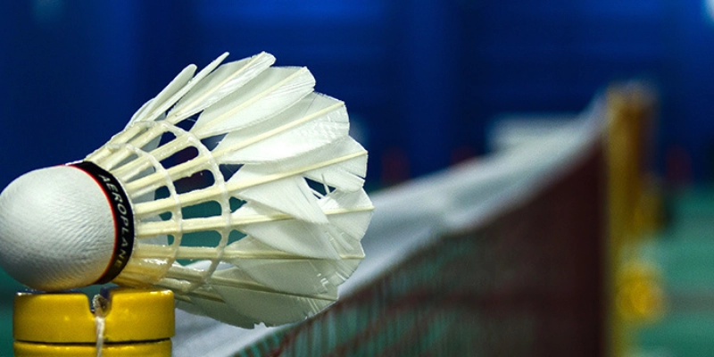 Review Quả Cầu Lông Yonex Aerosensa: Đánh Giá Thực Tế, So Sánh Và Kinh Nghiệm Chọn Mua - FEXIN