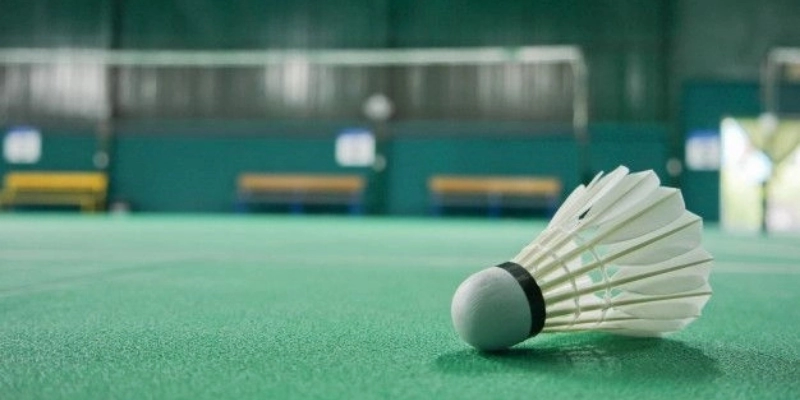 Hãng Vợt Yonex: Biểu Tượng Chất Lượng Và Đẳng Cấp - FEXIN