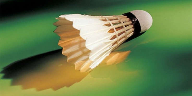 So Sánh Quả Cầu Lông RSL Và Lining: Đâu Là Lựa Chọn Tối Ưu Cho Bạn? - YiliBadminton - FEXIN