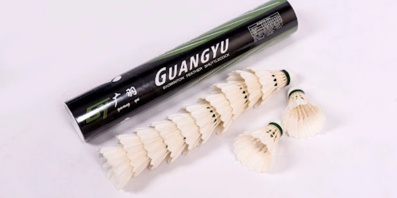 Tiêu Chuẩn Quốc Tế Của Quả Cầu LôngV: Toàn Bộ Quy Định, Cách Nhận Biết Và Lựa Chọn Tốt Nhất - FEXIN