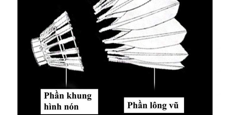 Trọng Lượng Quả Cầu Lông Theo Quy Định: Cập Nhật, Phân Tích Và Hướng Dẫn Chuẩn 2026 - FEXIN