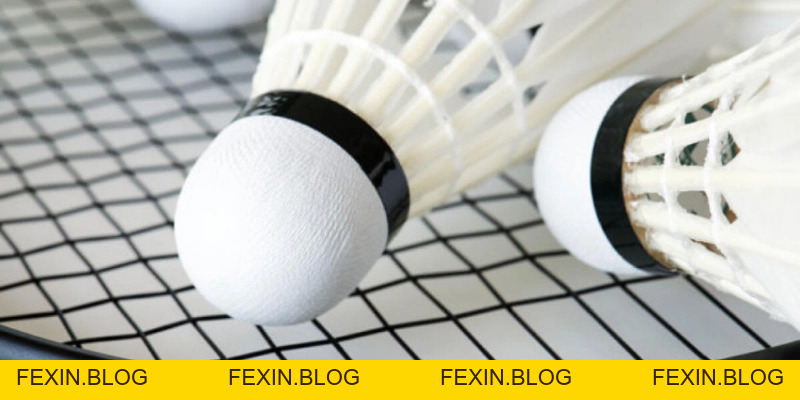 Tốc Độ Bay Cầu Lông: Ảnh Hưởng, Đo Lường Và Tối Ưu Hiệu Suất - FEXIN