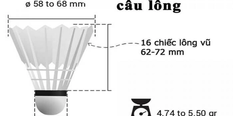 Trọng Lượng Quả Cầu Lông Theo Quy Định: Cập Nhật, Phân Tích Và Hướng Dẫn Chuẩn 2026 - FEXIN
