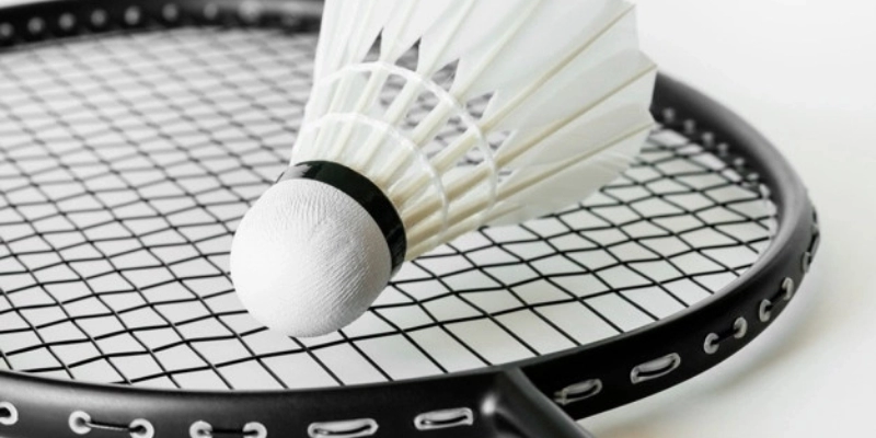 Cầu Lông Yonex: Lựa Chọn Hàng Đầu Cho Người Chơi Việt - FEXIN