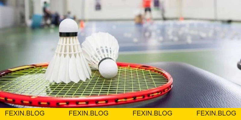 Quả Cầu Lông - YiliBadminton - FEXIN