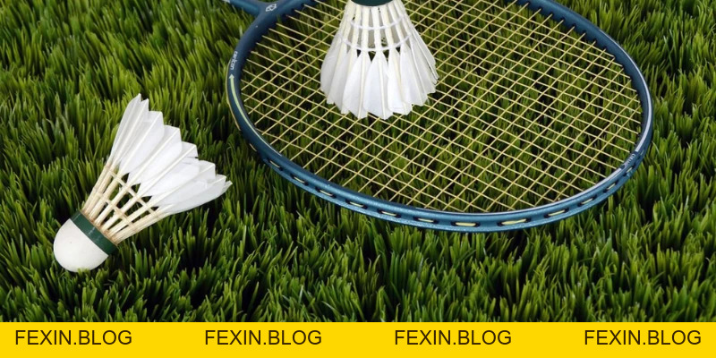 Quả Cầu Lông - YiliBadminton - FEXIN