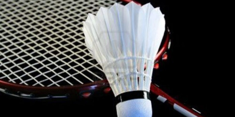 Liên Đoàn Cầu Lông Thế Giới (BWF): Toàn Tập Về Tổ Chức Quyền Lực Nhất - FEXIN
