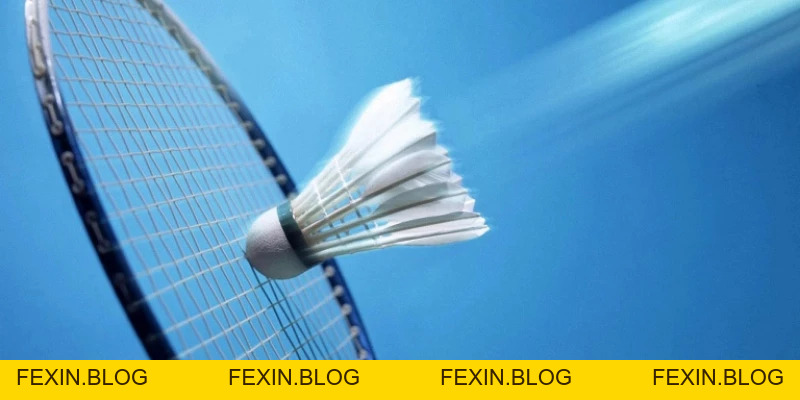 Quả Cầu Lông - YiliBadminton - FEXIN