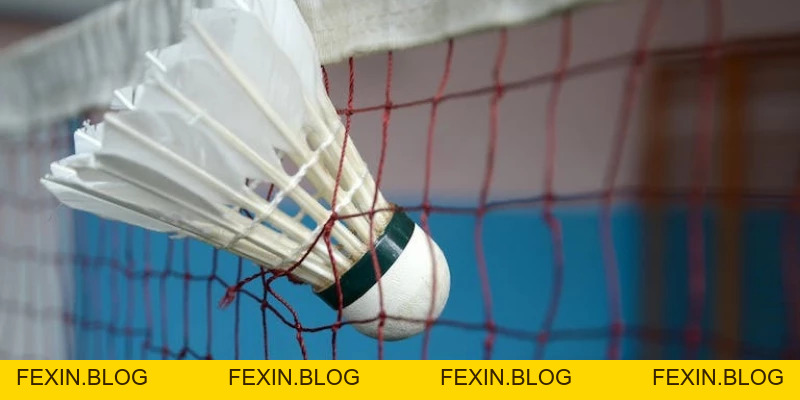 Quả Cầu Lông - YiliBadminton - FEXIN