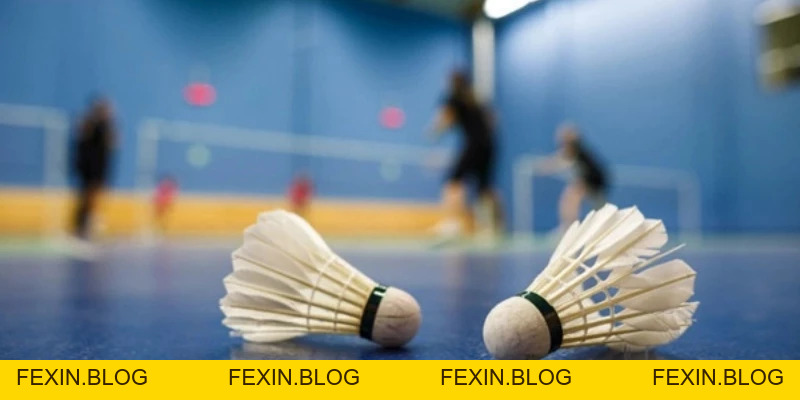 Quả Cầu Lông - YiliBadminton - FEXIN