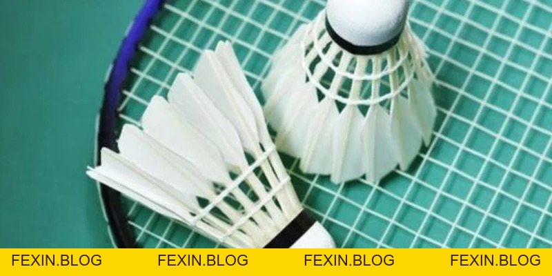 Quả Cầu Lông - YiliBadminton - FEXIN