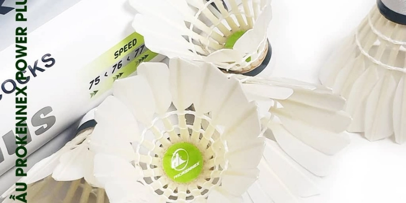 Cầu Lông ProKennex 808: Lựa Chọn Đỉnh Cao Cho Người Chơi - FEXIN