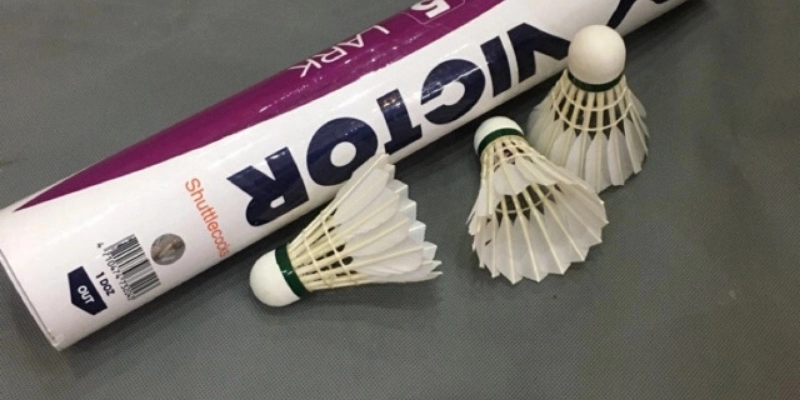 Cầu Lông Victor Queen: Đỉnh Cao Phong Cách Và Hiệu Năng Cho Phái Đẹp - FEXIN