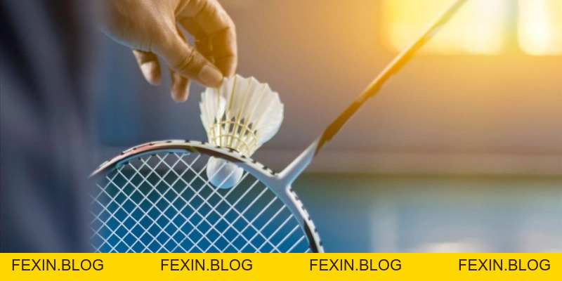 Quả Cầu Lông - YiliBadminton - FEXIN