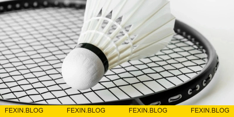 Quả Cầu Lông - YiliBadminton - FEXIN