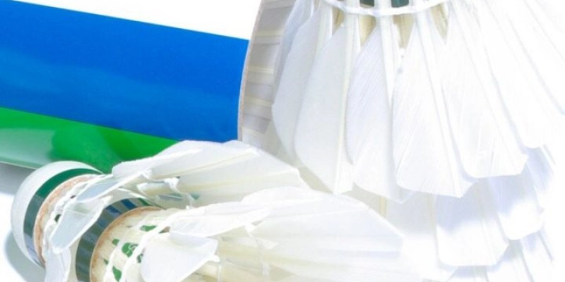 Chất Kiệu Cầu RSL: Tất Tần Tật Từ A-Z – Cùng YiliBadminton - FEXIN