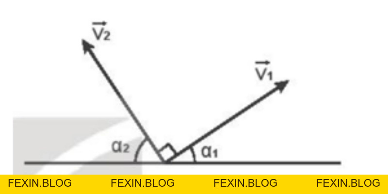 Cầu Lông Vũ: Hướng Dẫn Chọn Và Bảo Quản Chuẩn Cho Người Chơi - FEXIN
