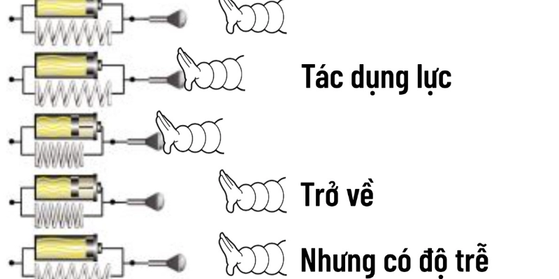 Độ Đàn Hồi: Hiểu Đúng, Ứng Dụng Trong Cầu Lông Và Cuộc Sống - FEXIN
