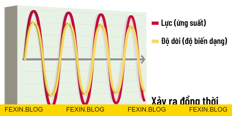 Độ Đàn Hồi: Hiểu Đúng, Ứng Dụng Trong Cầu Lông Và Cuộc Sống - FEXIN