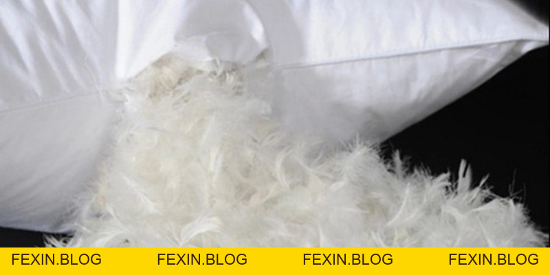 Lông Ngỗng: Ứng Dụng Và Bí Quyết Chọn Chuẩn - FEXIN